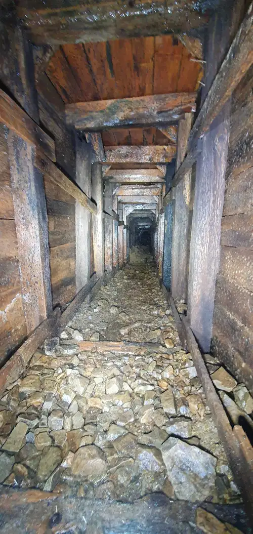 Dans les entrailles de la terre sur les traces des poilus en Alsace