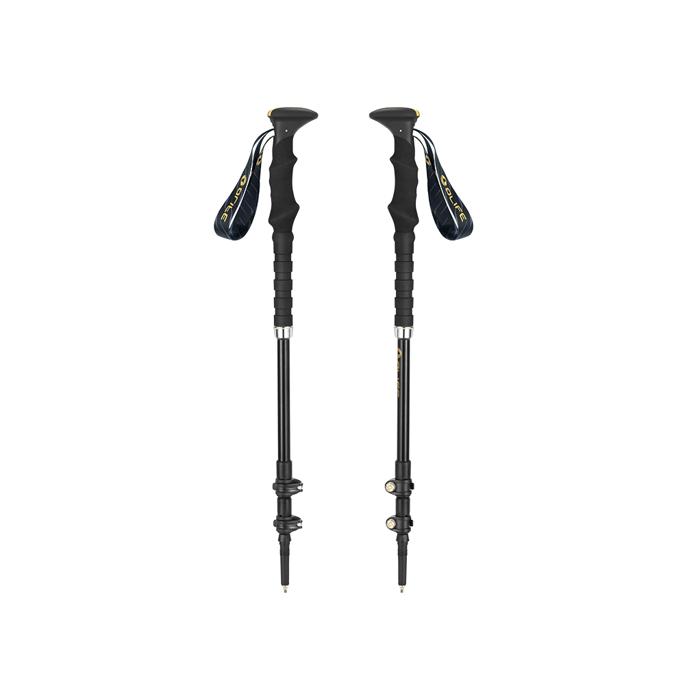 Bâtons de marche nordique télescopiques réglables avec poignées ergonomiques et dragonnes, pour randonnée et trekking