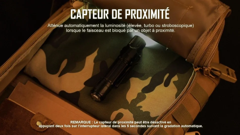 Battue en automne : visibilité et sécurité