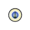 Tête de lampe de poche puissante avec lentille centrale bleue et couronne de LED jaunes sur fond blanc.